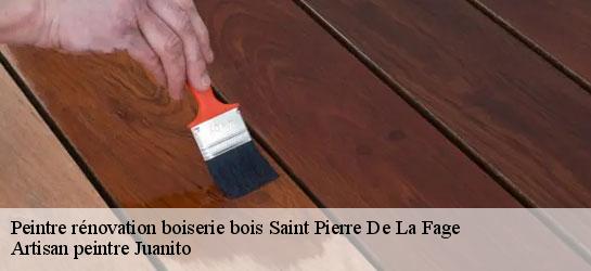 Peintre rénovation boiserie bois  34520