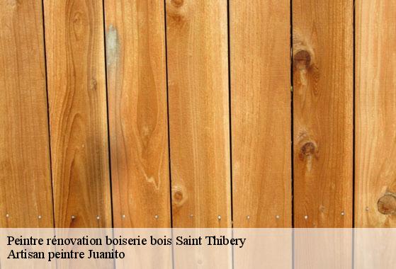 Peintre rénovation boiserie bois  saint-thibery-34630 Artisan peintre Juanito