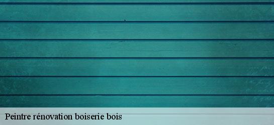 Peintre rénovation boiserie bois  34290