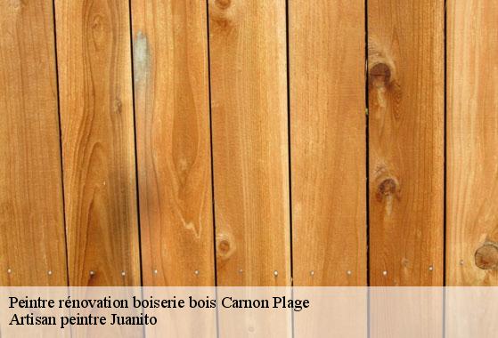 Peintre rénovation boiserie bois  carnon-plage-34280 Artisan peintre Juanito