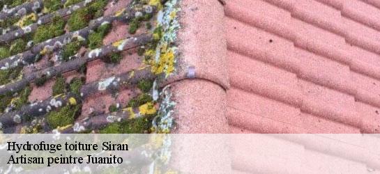 Hydrofuge toiture  34210