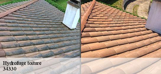 Hydrofuge toiture  34330