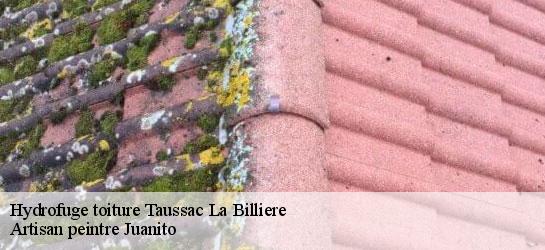 Hydrofuge toiture  34600