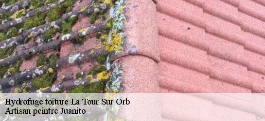 Hydrofuge toiture 34260