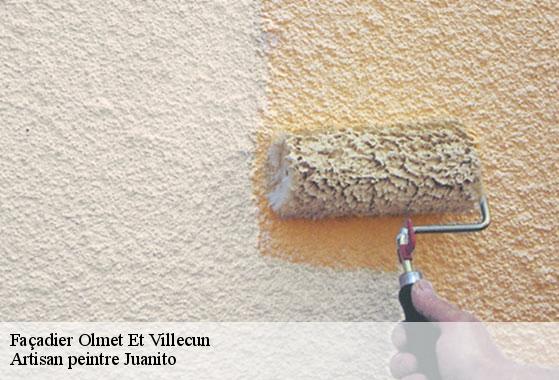 Façadier  olmet-et-villecun-34700 Artisan peintre Juanito