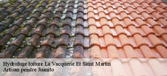 Hydrofuge toiture  34520