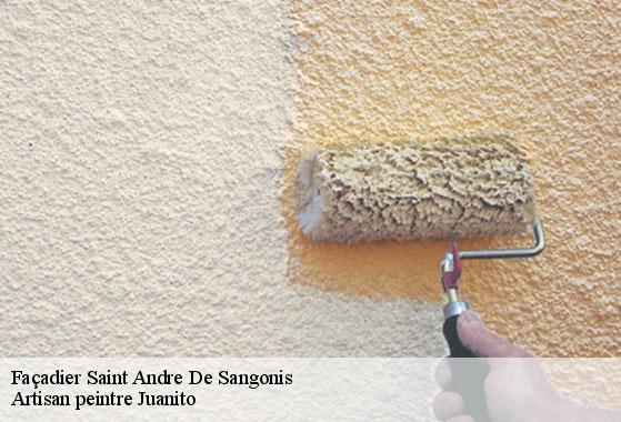 Façadier saint-andre-de-sangonis-34725 Artisan peintre Juanito