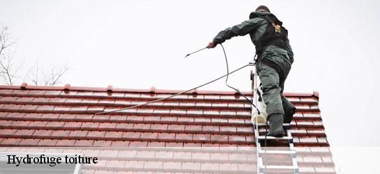 Hydrofuge toiture 34400