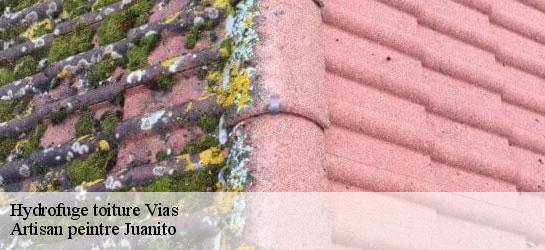 Hydrofuge toiture 34450