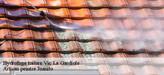 Hydrofuge toiture 34110