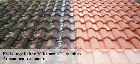 Hydrofuge toiture 34600