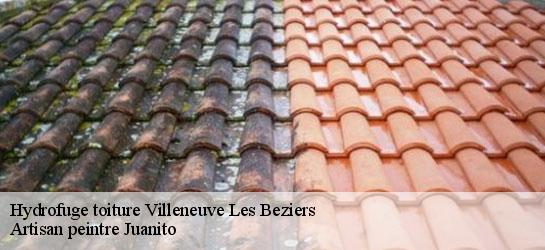 Hydrofuge toiture  34420