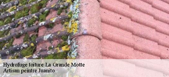 Hydrofuge toiture 34280