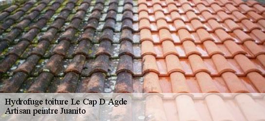 Hydrofuge toiture 34300