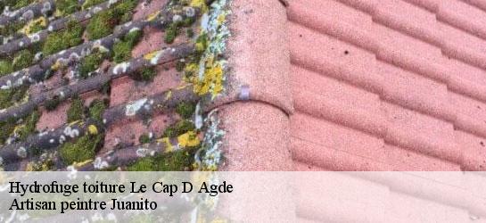 Hydrofuge toiture 34300