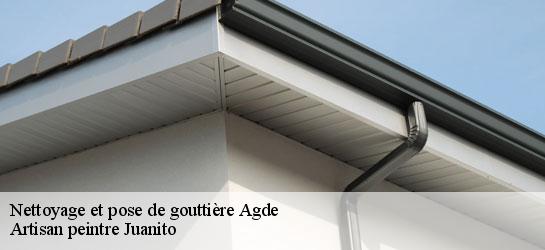 Nettoyage et pose de gouttière  34300