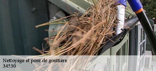 Nettoyage et pose de gouttière  34530