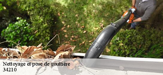Nettoyage et pose de gouttière  34210