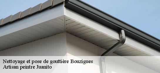 Nettoyage et pose de gouttière  34140