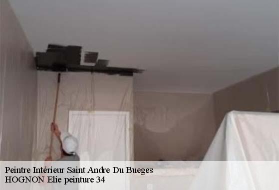 Peintre Intérieur  saint-andre-du-bueges-34190 HOGNON Elie peinture 34