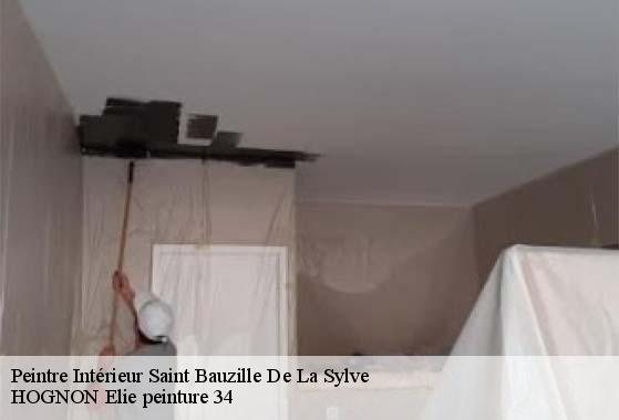 Peintre Intérieur  saint-bauzille-de-la-sylve-34230 HOGNON Elie peinture 34