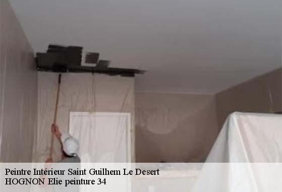 Peintre Intérieur  saint-guilhem-le-desert-34150 HOGNON Elie peinture 34
