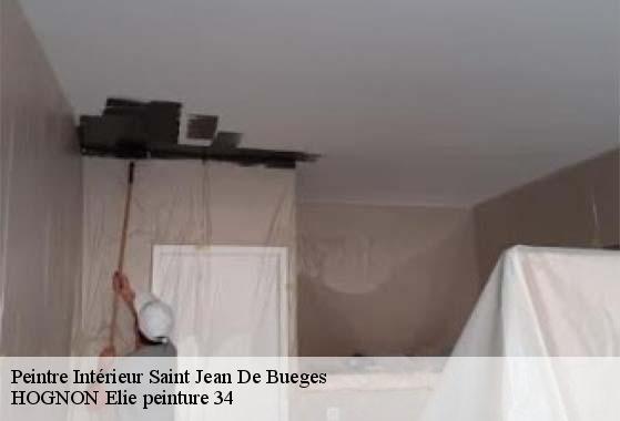Peintre Intérieur  saint-jean-de-bueges-34380 HOGNON Elie peinture 34