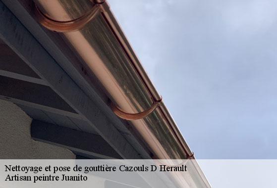 Nettoyage et pose de gouttière  cazouls-d-herault-34120 Artisan peintre Juanito