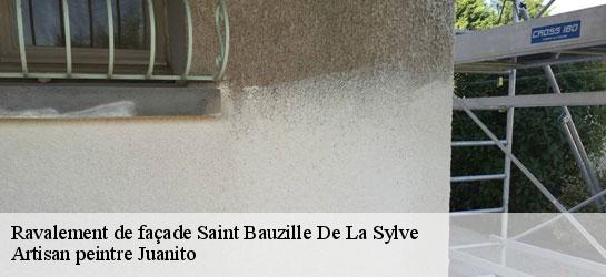 Ravalement de façade  34230