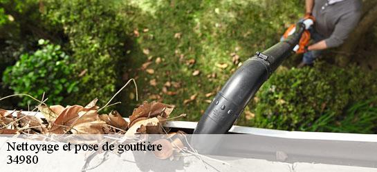 Nettoyage et pose de gouttière  34980