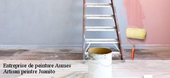 Entreprise de peinture 34530