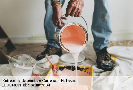 Entreprise de peinture  carlencas-et-levas-34600 HOGNON Elie peinture 34