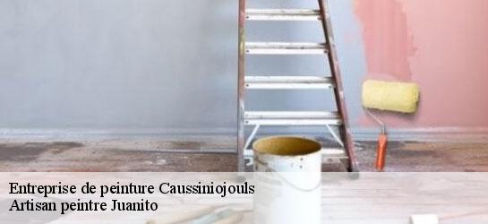 Entreprise de peinture  34600