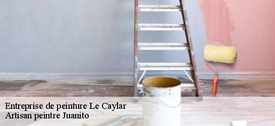 Entreprise de peinture  34520