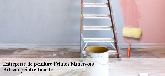 Entreprise de peinture  34210