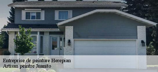 Entreprise de peinture  34600