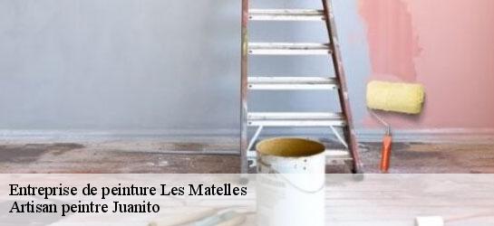 Entreprise de peinture  34270