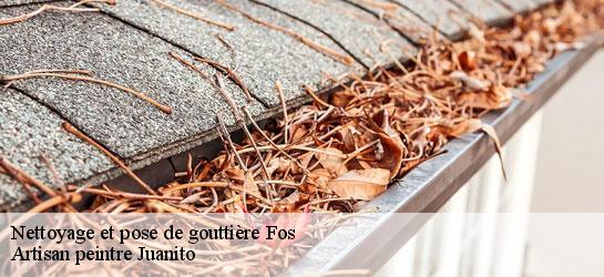 Nettoyage et pose de gouttière 34320