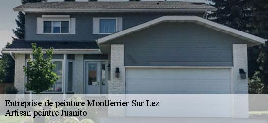 Entreprise de peinture  34980