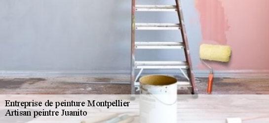 Entreprise de peinture  34000