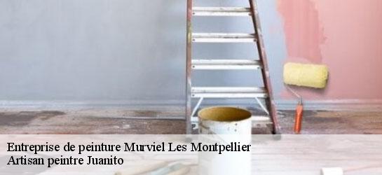 Entreprise de peinture  34570