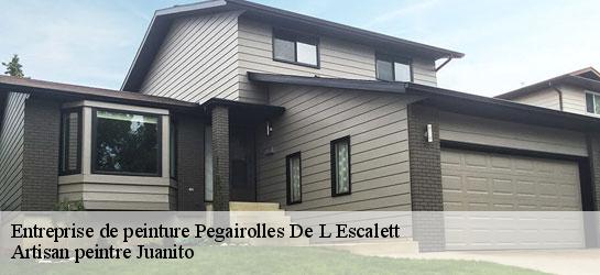 Entreprise de peinture  34700