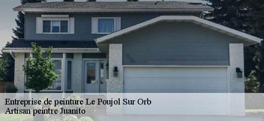 Entreprise de peinture 34600