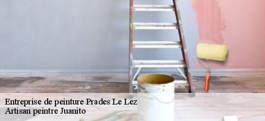 Entreprise de peinture  34730