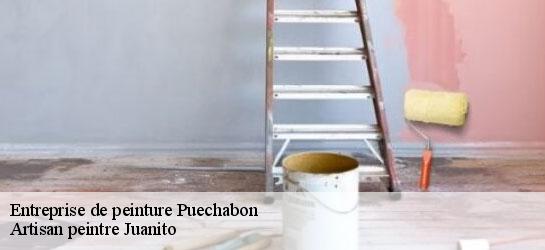 Entreprise de peinture 34150