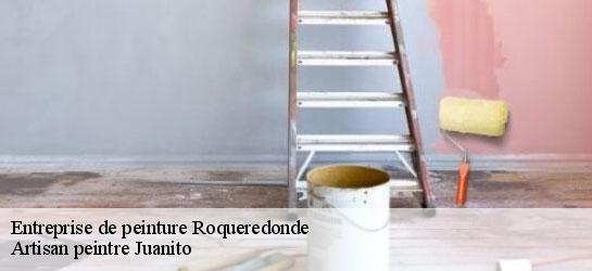 Entreprise de peinture  34650