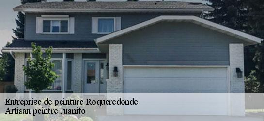 Entreprise de peinture  34650