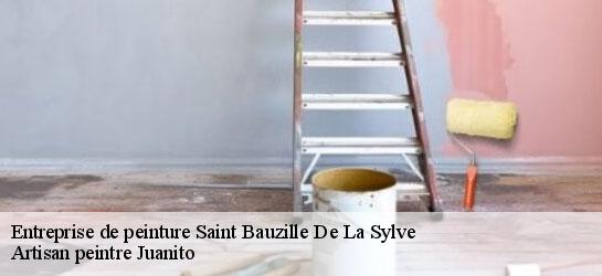 Entreprise de peinture 34230