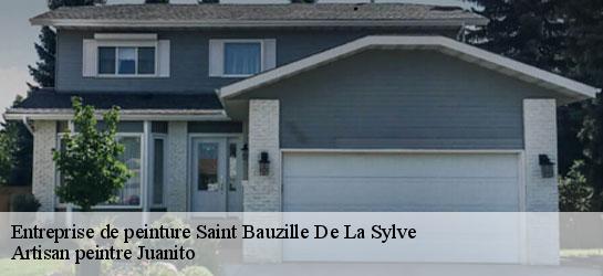 Entreprise de peinture 34230