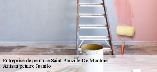 Entreprise de peinture  34160